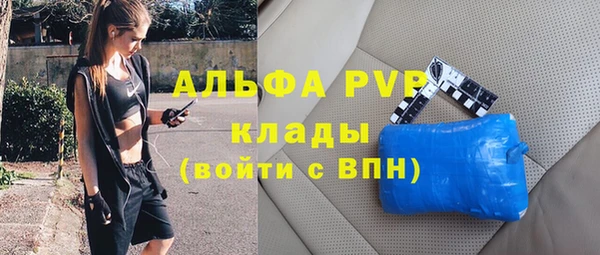 индика Алексеевка