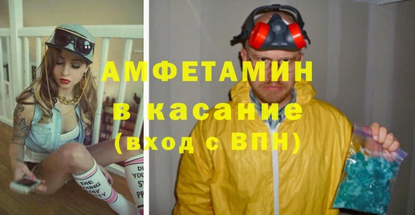 индика Алексеевка