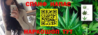 прущий лед Дубна