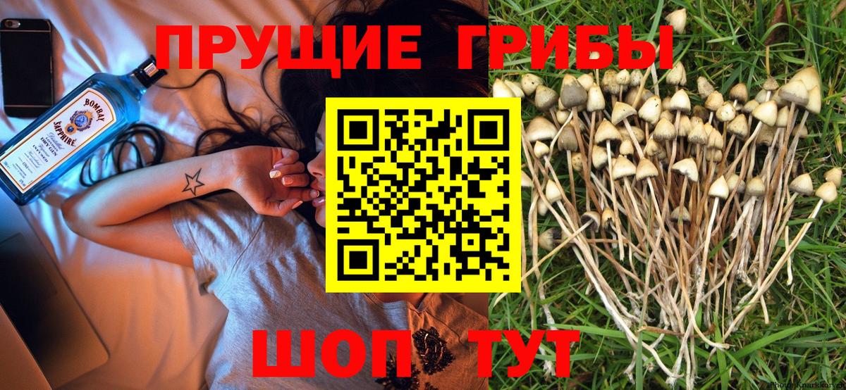 NBOMe  Кокаин  Меф МЯУ МЯУ кристаллы  Вход с VPN  Ртищево  ГАШ  A-PVP СК   ЭКСТАЗИ 